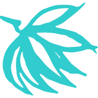 favicon.ico